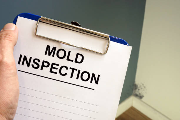 Best Industrial Mold Remediation  in Hudson Oaks, TX